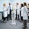 White PVC Human Skeleton Model with Movable Joints and Rolling Metal Stand